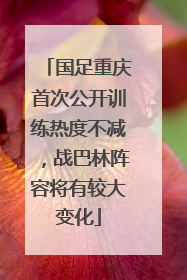 国足重庆首次公开训练热度不减，战巴林阵容将有较大变化