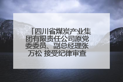 四川省煤炭产业集团有限责任公司原党委委员、副总经理张万松 接受纪律审查和监察调查
