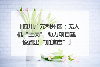 四川广元利州区：无人机“上岗” 助力项目建设跑出“加速度”