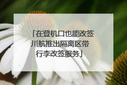 在登机口也能改签 川航推出隔离区带行李改签服务