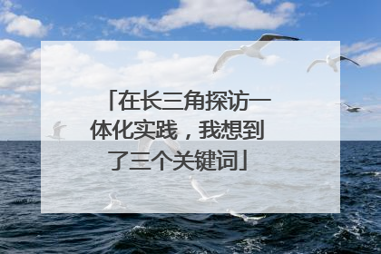 在长三角探访一体化实践，我想到了三个关键词