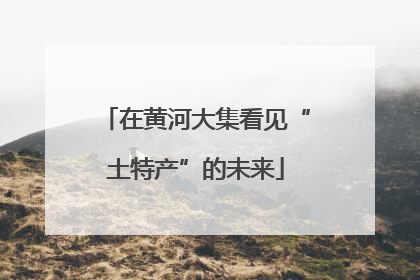 在黄河大集看见“土特产”的未来