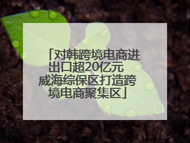 对韩跨境电商进出口超20亿元 威海综保区打造跨境电商聚集区
