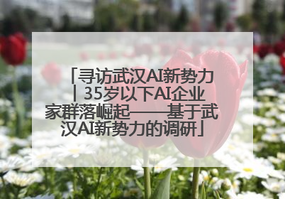 寻访武汉AI新势力︱35岁以下AI企业家群落崛起——基于武汉AI新势力的调研