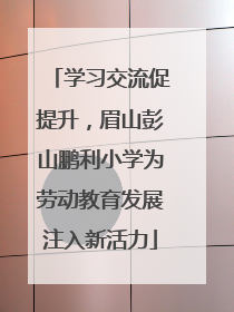 学习交流促提升，眉山彭山鹏利小学为劳动教育发展注入新活力