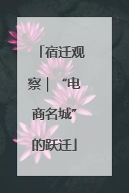 宿迁观察｜“电商名城”的跃迁