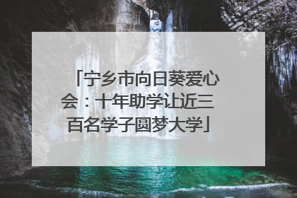 宁乡市向日葵爱心会：十年助学让近三百名学子圆梦大学