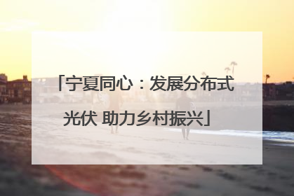 宁夏同心：发展分布式光伏 助力乡村振兴