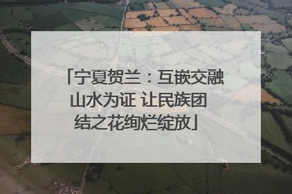 宁夏贺兰：互嵌交融 山水为证 让民族团结之花绚烂绽放