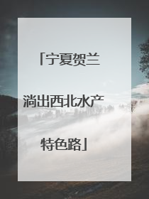 宁夏贺兰 淌出西北水产特色路