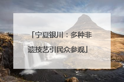 宁夏银川：多种非遗技艺引民众参观