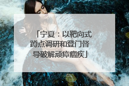 宁夏：以靶向式蹲点调研和登门督导破解顽瘴痼疾