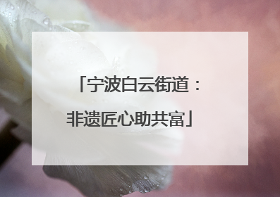 宁波白云街道：非遗匠心助共富