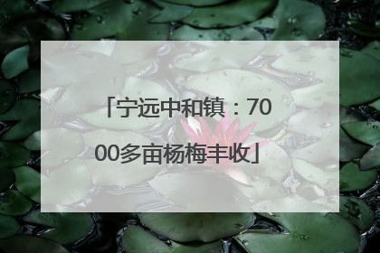 宁远中和镇：7000多亩杨梅丰收