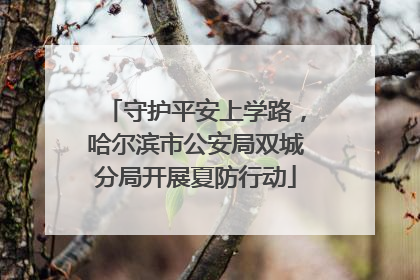 守护平安上学路，哈尔滨市公安局双城分局开展夏防行动