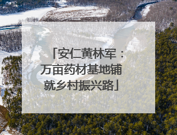 安仁黄林军：万亩药材基地铺就乡村振兴路