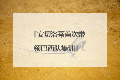 安切洛蒂首次带领巴西队集训