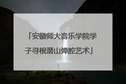 安徽师大音乐学院学子寻根潜山弹腔艺术