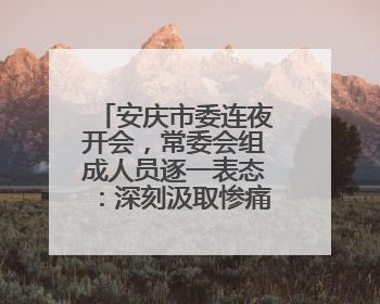 安庆市委连夜开会，常委会组成人员逐一表态：深刻汲取惨痛教训