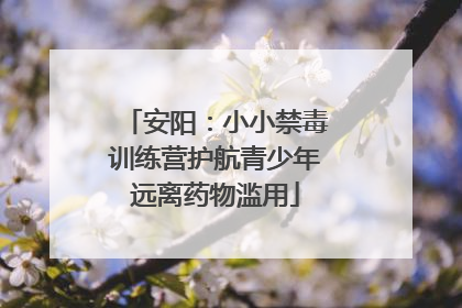 安阳：小小禁毒训练营护航青少年远离药物滥用
