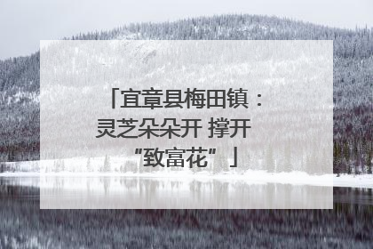 宜章县梅田镇：灵芝朵朵开 撑开“致富花”