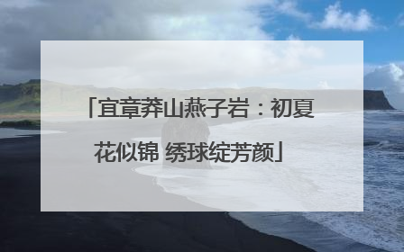 宜章莽山燕子岩：初夏花似锦 绣球绽芳颜