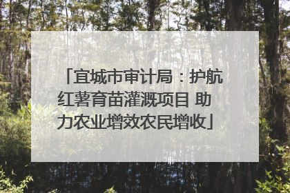 宜城市审计局：护航红薯育苗灌溉项目 助力农业增效农民增收