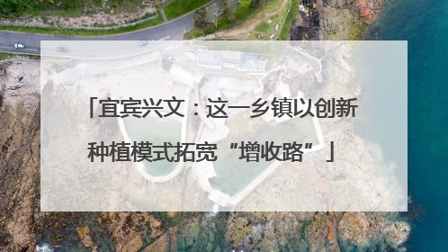 宜宾兴文：这一乡镇以创新种植模式拓宽“增收路”