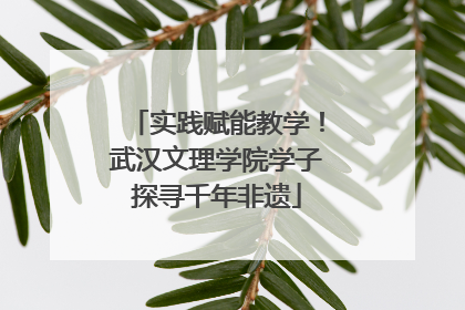 实践赋能教学！武汉文理学院学子探寻千年非遗