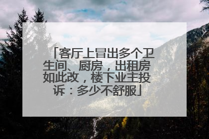客厅上冒出多个卫生间、厨房，出租房如此改，楼下业主投诉：多少不舒服