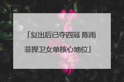 复出后已夺四冠 陈雨菲捍卫女单核心地位