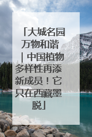 大城名园 万物和谐｜中国植物多样性再添新成员！它只在西藏墨脱