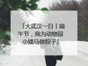 大武汉一日丨端午节，我为动物园小矮马做粽子