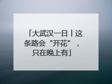 大武汉一日丨这条路会“开花”，只在晚上有