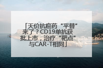 天价抗癌药“平替”来了？CD19单抗获批上市，治疗“靶点”与CAR-T相同