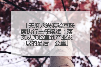 天府永兴实验室联席执行主任梁斌：落实从实验室到产业发展的最后一公里