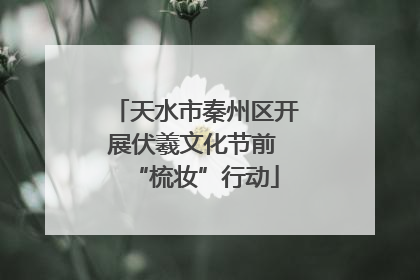 天水市秦州区开展伏羲文化节前 “梳妆”行动
