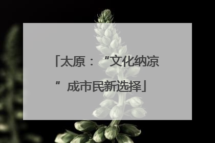 太原：“文化纳凉”成市民新选择
