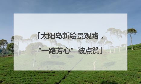 太阳岛新绘景观路，“一路芳心”被点赞