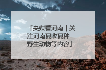 央媒看河南｜关注河南夏收夏种 野生动物等内容