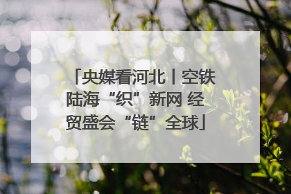 央媒看河北丨空铁陆海“织”新网 经贸盛会“链”全球