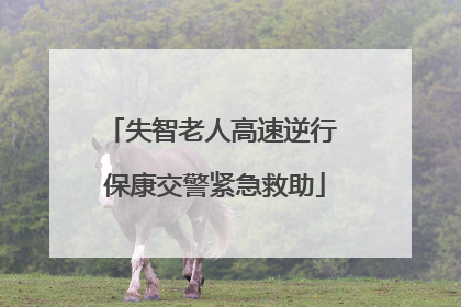 失智老人高速逆行 保康交警紧急救助
