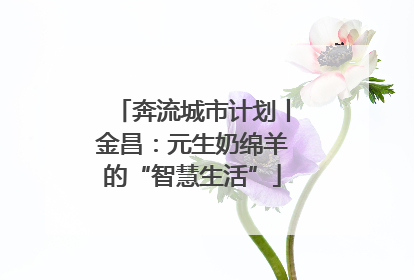 奔流城市计划丨金昌：元生奶绵羊的“智慧生活”
