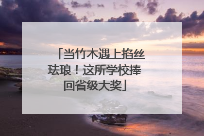 当竹木遇上掐丝珐琅！这所学校捧回省级大奖
