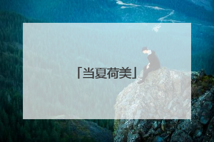 当夏荷美