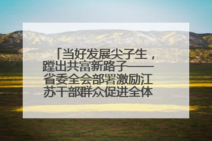 当好发展尖子生，蹚出共富新路子——省委全会部署激励江苏干部群众促进全体人民共同富裕