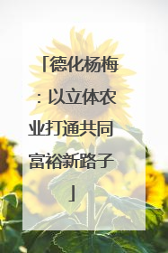 德化杨梅：以立体农业打通共同富裕新路子