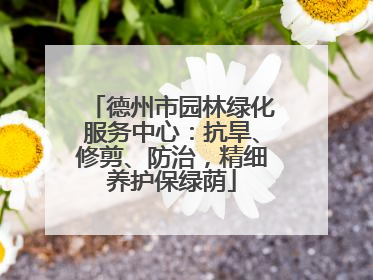 德州市园林绿化服务中心：抗旱、修剪、防治，精细养护保绿荫