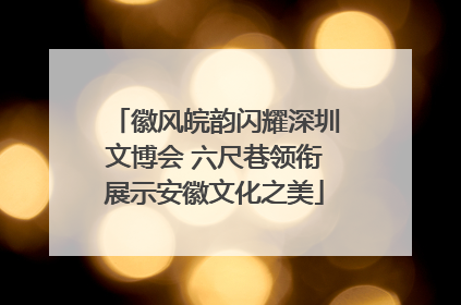 徽风皖韵闪耀深圳文博会 六尺巷领衔展示安徽文化之美