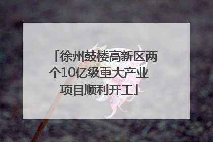 徐州鼓楼高新区两个10亿级重大产业项目顺利开工